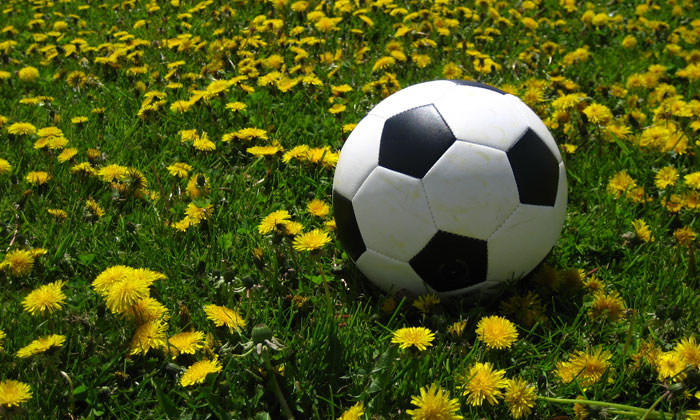 Soccer Registrations are Open!