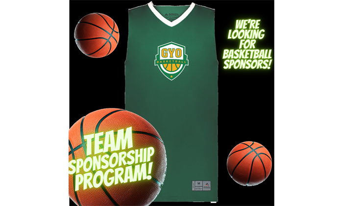 Team Sponsorship Program